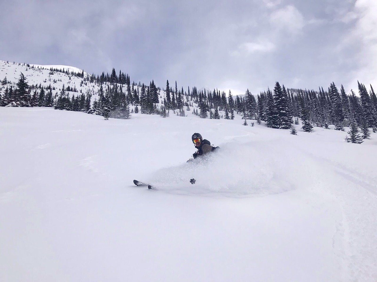 ski, snow, canada-2159349.jpg